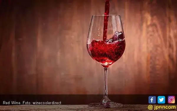 Enam Fakta tentang Wine yang Harus Diketahui