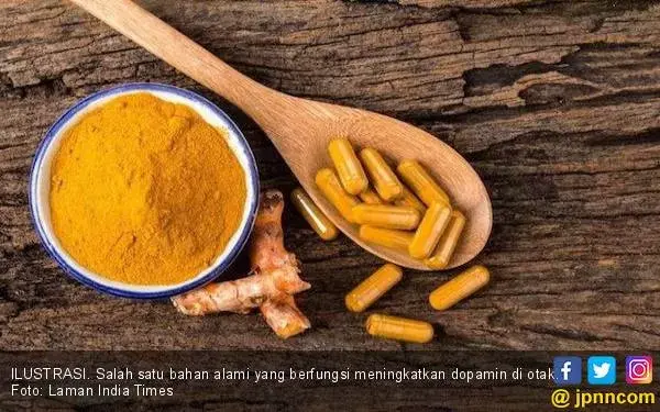 Bahan Alami Ini Bisa Meningkatkan Dopamin di Otak Anda