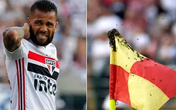 Dani Alves Diserang Tawon, Pertandingan Sempat Dihentikan