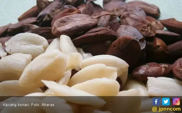 Konsumsi 30 Gram Kacang Sehari Bisa Menjaga Kesehatan Jantung