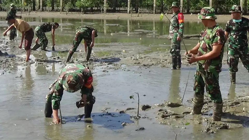 Peduli Lingkungan, Kodim 1417 Kendari Tanam Mangrove