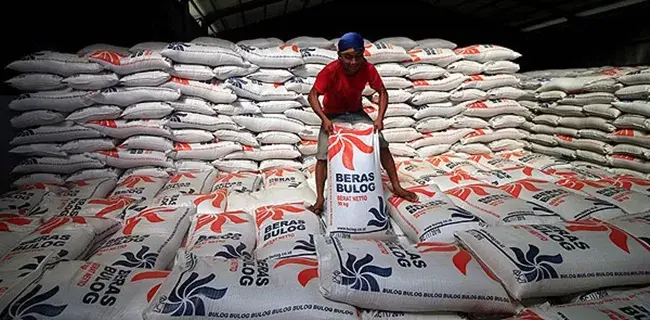 Bulog Akan Musnahkan 20 Ribu Ton Beras Senilai Rp 160 Miliar