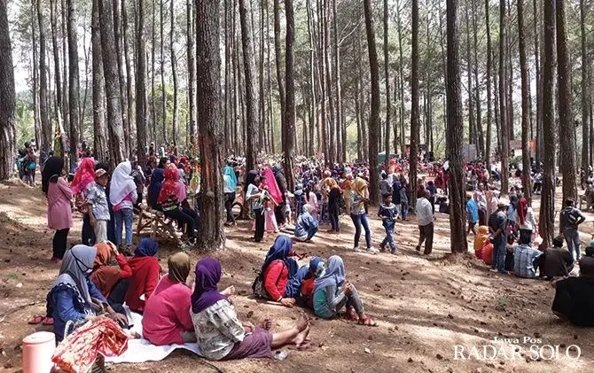 Hutan Pinus Pasekan Bakal Dilengkapi Wahana Outbond-Camping