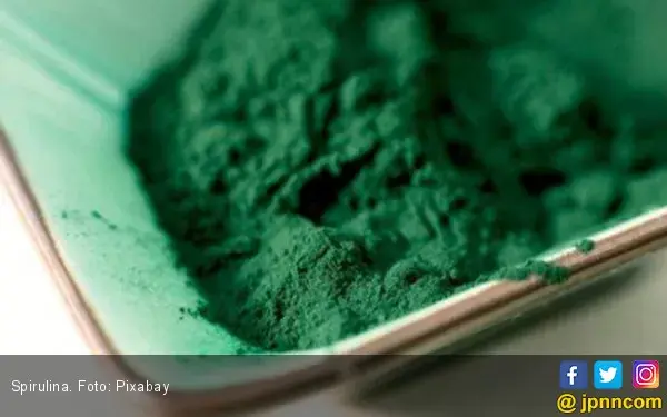 Pengguna Spirulina Perlu Baca Informasi Ini