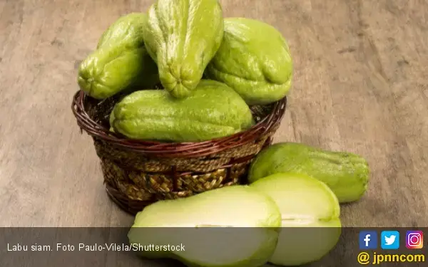 Manfaat Labu Siam untuk Penderita Asam Urat