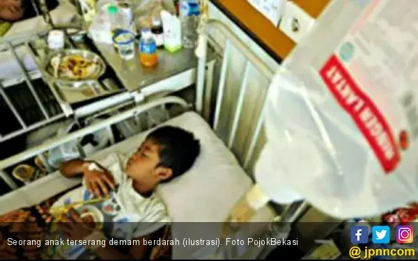 Cairan Alami yang Baik untuk Pasien Demam Berdarah