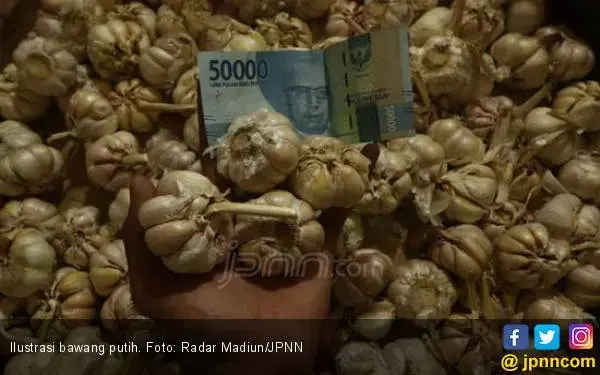 Revisi Wajib Tanam Berpotensi Hambat Upaya Swasembada Bawang Putih
