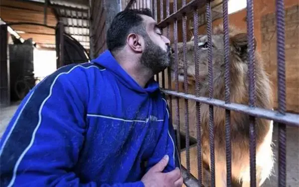 Perang Suriah Bukan Halangan Untuk Mencium Singa atau Berbincang dengan Harimau