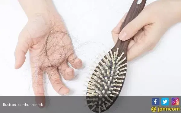 Rambut Anak Sering Rontok? 4 Hal ini Bisa jadi Biang Keroknya