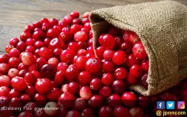 Kaya Antioksidan, Manfaat Cranberries untuk Kesehatan