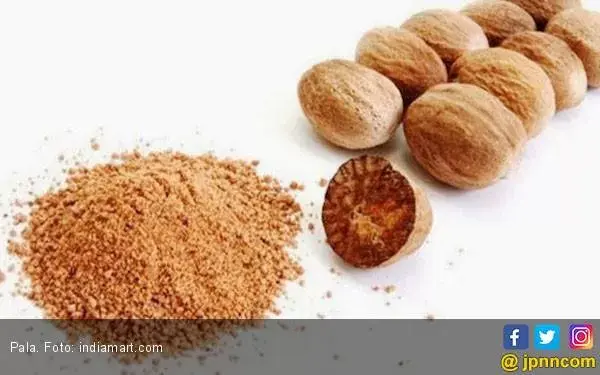 Kaya akan Magnesium, Raih 3 Khasiat Teh Biji Pala untuk Kesehatan