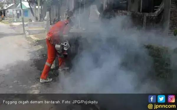Efektivitas Fogging Mengatasi Demam Berdarah?