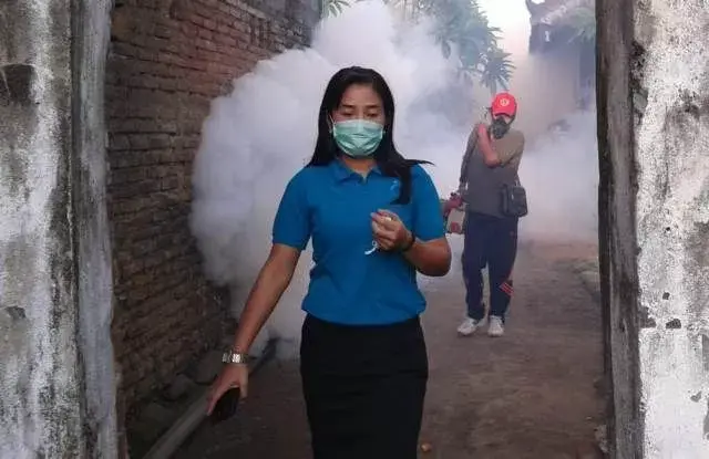 Virus Demam Berdarah Serang Warga Belega, 10 Orang Masuk RS