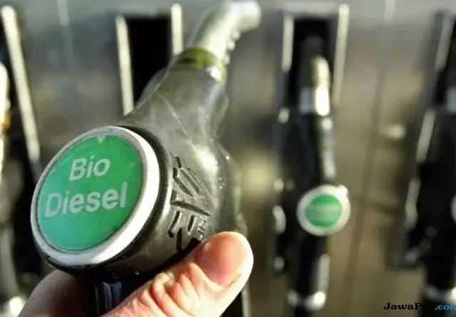 Luhut: Program Biodiesel Bisa Berhenti di B50 Jika Tidak Replanting