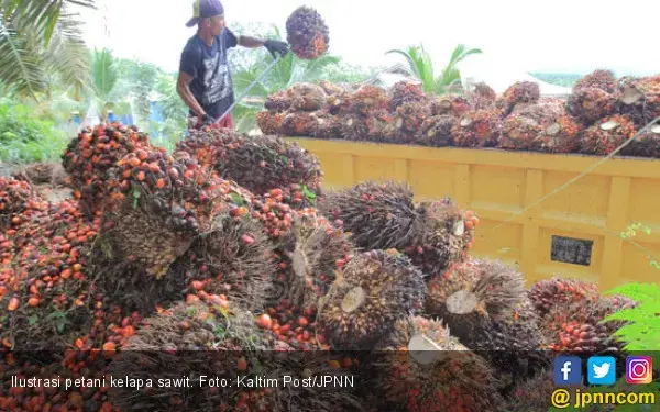 Indonesia Gugat Eropa ke WTO Terkait Perlakuan Diskriminatif