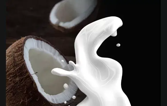 Kualitas Santan Kelapa Bergantung pada Kemasan yang Baik
