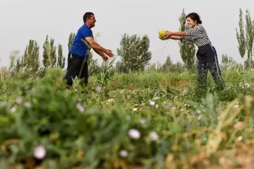 Muslim Uighur Xinjiang Mengaku Diselamatkan Program Pemerintah Tiongkok