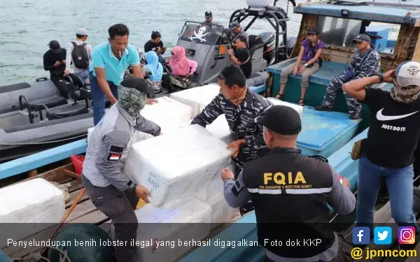 Fakhry Ali: Indonesia Rugi jika Tidak Ekspor Benih Lobster