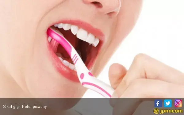 Benarkah Menyikat Gigi 3 Kali Sehari Bisa Kurangi Risiko Gagal Jantung?