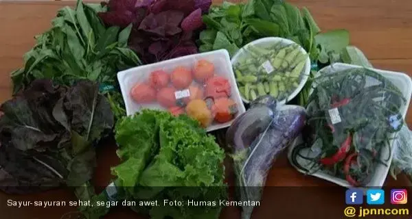 Penderita Asam Urat Pantang Konsumsi Sayuran Hijau?