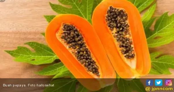 Jangan Berlebihan Makan Pepaya, Ini Efek Sampingnya