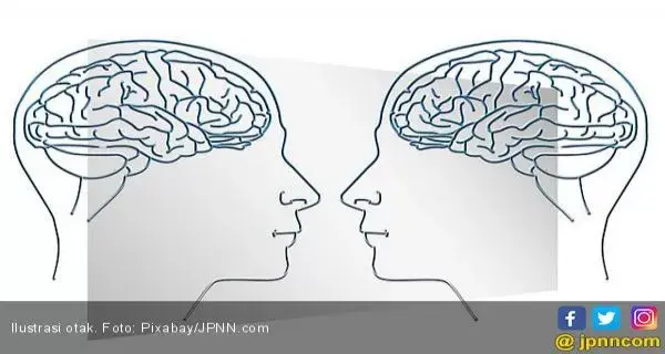 Ini Yang Terjadi Pada Tubuh Bila Kekurangan Oksigen
