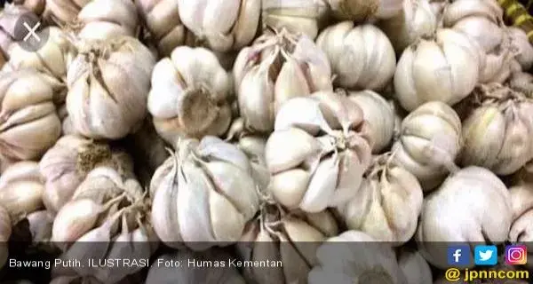 Benarkah Banyak Makan Bawang Putih Bisa Menurunkan Risiko Kanker Payudara?
