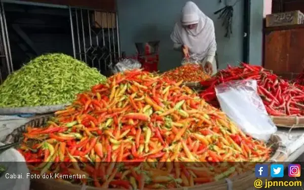 Enam Nutrisi Yang Terkandung Dalam Cabai