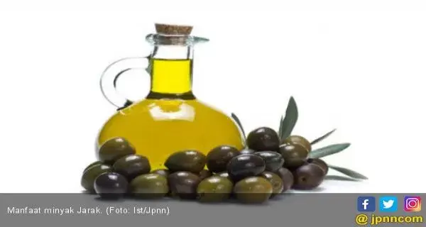 5 Khasiat Biji Buah Jarak untuk Kesehatan Tubuh dan Kulit