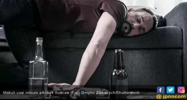 4 Makanan Ini Sebaiknya Dikonsumsi Sebelum Minum Alkohol