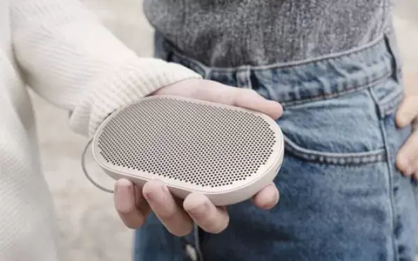 Hindari Kejaran Pacar, Pria Ini Nekat Mencuri Speaker
