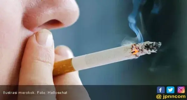 Empat Makanan ini Bisa Membantu Mengurangi Efek Rokok