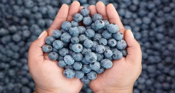 Ini Buah Terbaik yang Harus Dimakan Setiap Hari oleh Pria