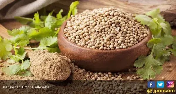6 Manfaat Ketumbar untuk Kesehatan