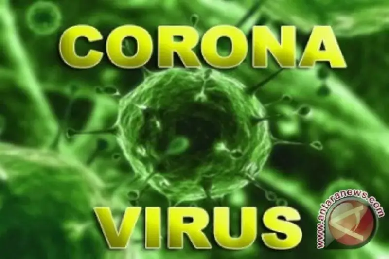 WHO Rapat Darurat Bahas Virus Korona