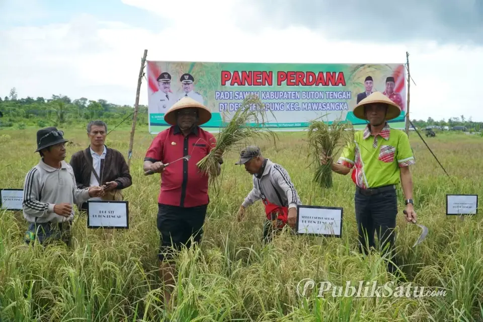 Samahuddin Panen Perdana Padi Buteng di Dusun Kaleleha Desa Terapung