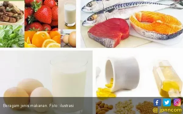 Ketahui Lemak yang Aman Dikonsumsi Penderita Kolesterol