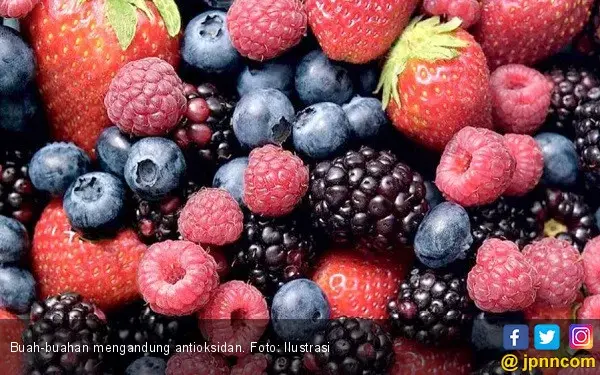 7 Buah-buahan Ini Kaya Antioksidan