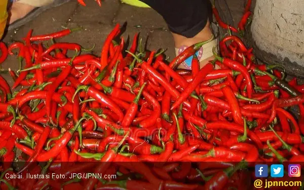 Sering Makan Pedas, Lidah dan Kerongkongan jadi Rusak?