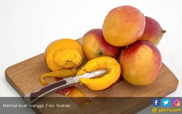 Ramuan dari Mangga Ini Bisa Merawat Kecantikan Anda