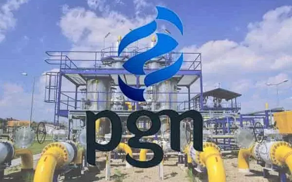 Harga Gas Industri Turun, PGN Bisa Kena Dampak