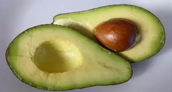 Tanpa Kafein, Makanan Ini Bisa Meningkatkan Konsentrasi