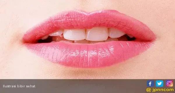 Bibir Lembut dan Sehat dengan Bahan Alami
