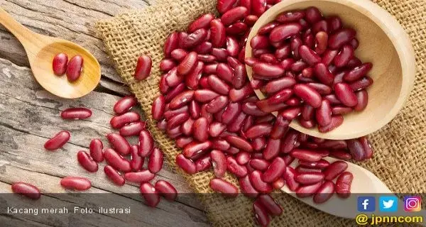 Kenali Manfaat Kacang Bagi Kesehatan Anda