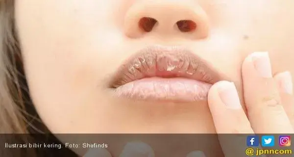 Langkah Mudah Mengatasi Bibir Kering Ala MUA Ariana Grande