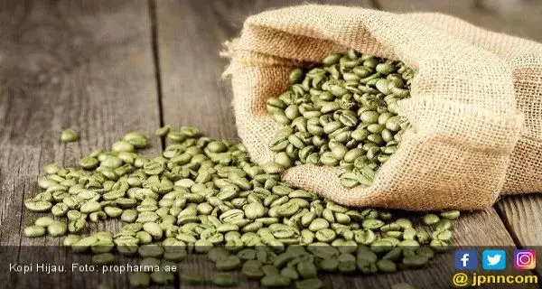 Keren! Ini Manfaat Kopi Hijau yang Perlu Kamu Tahu