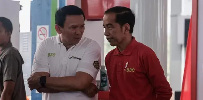 Ahok Calon Pemimpin IKN, PPP: Kayak Gak Ada Orang Lain Saja