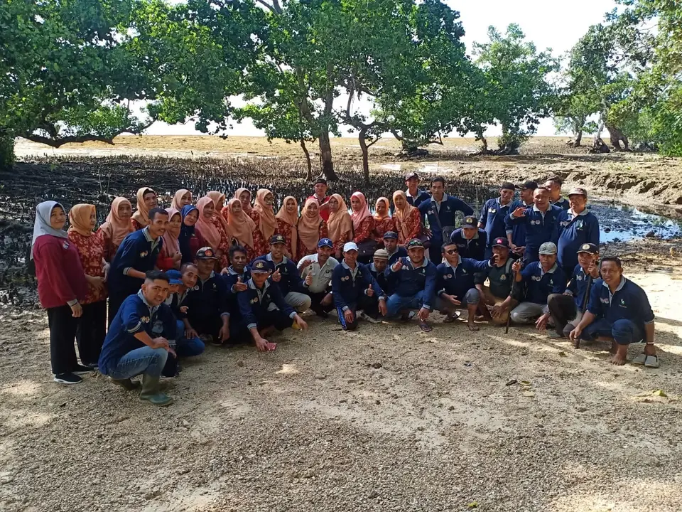 KPH Unit II Lasalimu Tanam Mangrove dan Mahoni