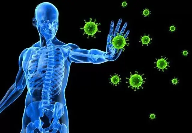 Enam Informasi Cegah Virus Korona yang Keliru, Beredar di Medsos
