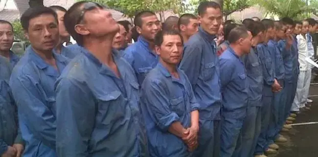 Pengamat: Kedatangan 500 TKA China Akan Ganggu Psikologis Tenaga Kerja Lokal Yang Sedang Dirumahkan